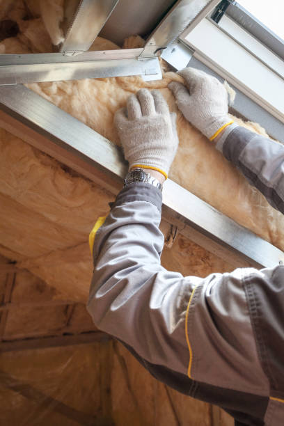 Best Insulation Installation Services in Pikeville, TN